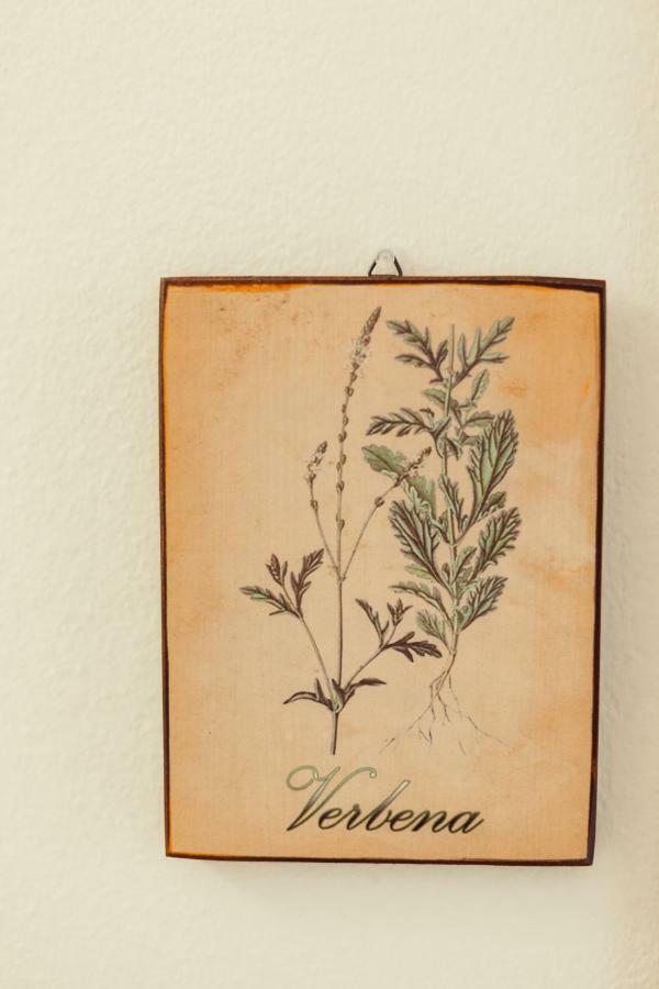 B&B Artemisia อาลเกโร ภายนอก รูปภาพ
